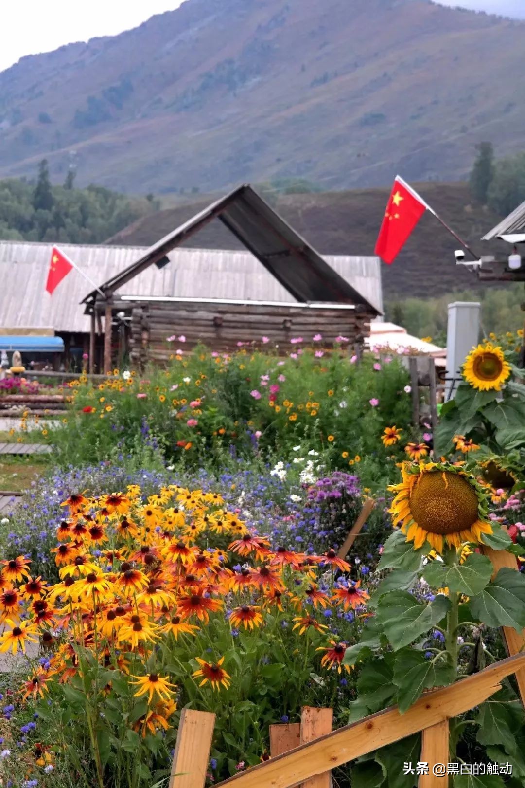 都说新疆好去新疆发展可靠么,都说新疆好地方