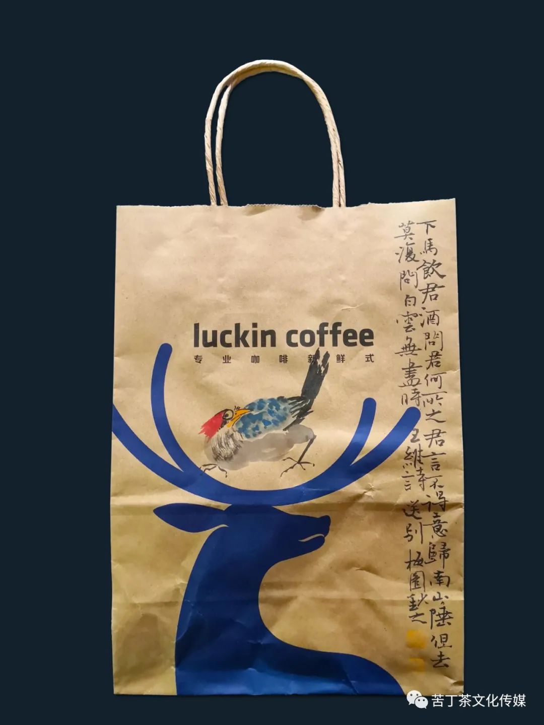 变废为宝---梅园创作的手提袋书画作品