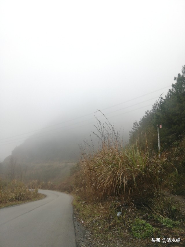 看到这个老铁路洞口,我莫名的伤心,童年的记忆都给我勾出来了