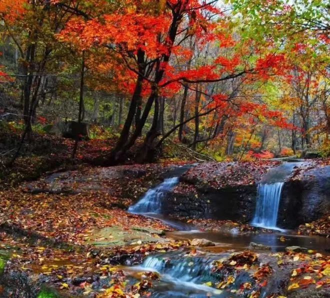 沈阳冬季一日游最佳去处,沈阳本溪自驾看枫叶去哪里