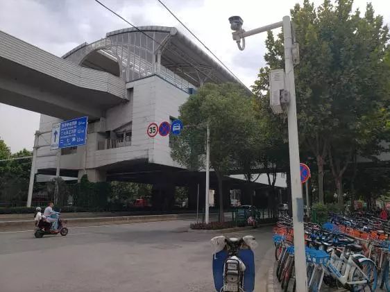 再次探钓朱家河，遭遇“水葫芦大军”