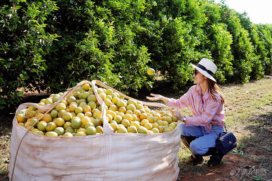 巴西像内马尔的人,巴西像