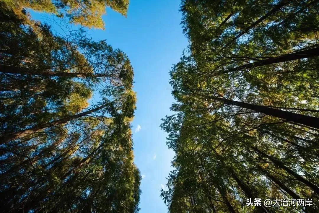 国庆小长假第二天,国庆小长假一日游