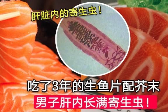 日本三文鱼寄生虫感染,三文鱼最可怕的寄生虫