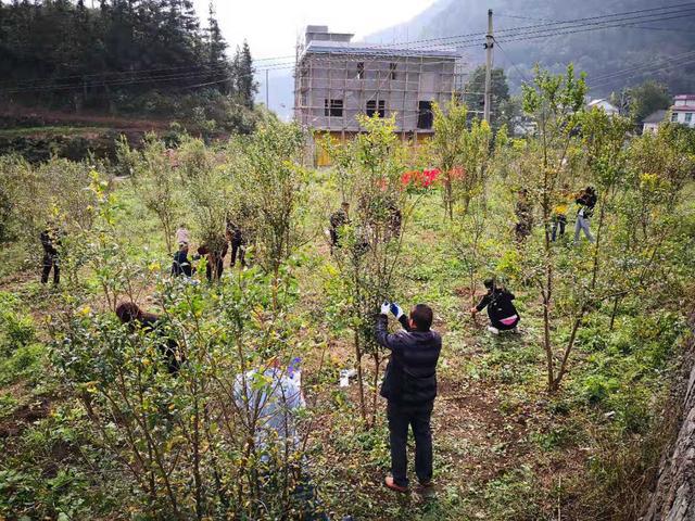 贵州省福润集团有限公司,贵州福润农资
