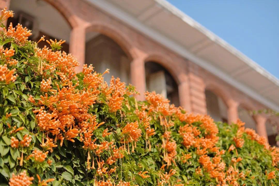 你好，我叫厦门，这是我的简历