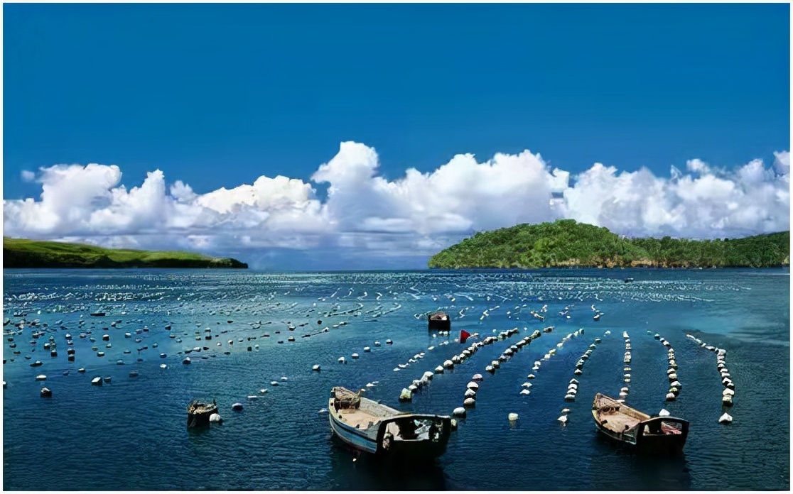 蓝色经济与海洋经济,蓝色经济史话