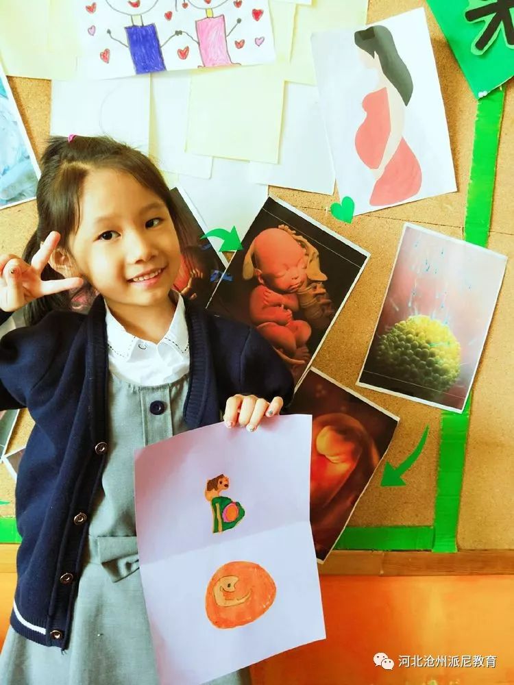 身体大揭秘动画,身体大揭秘