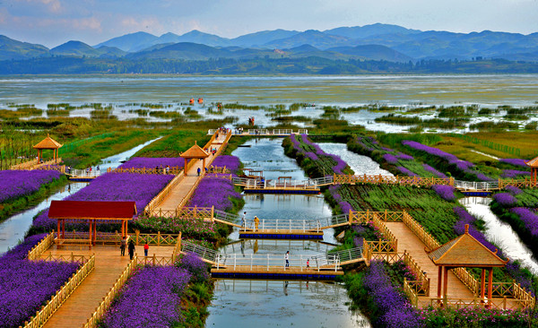 贵州的贵不,贵州人为什么名字里都有个贵