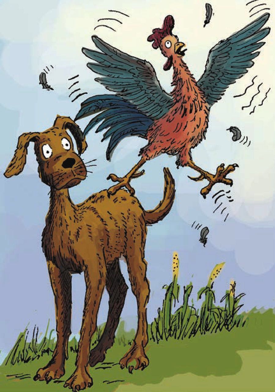 用一条狗生告诉你,懂得幽默的人结局都不会太差