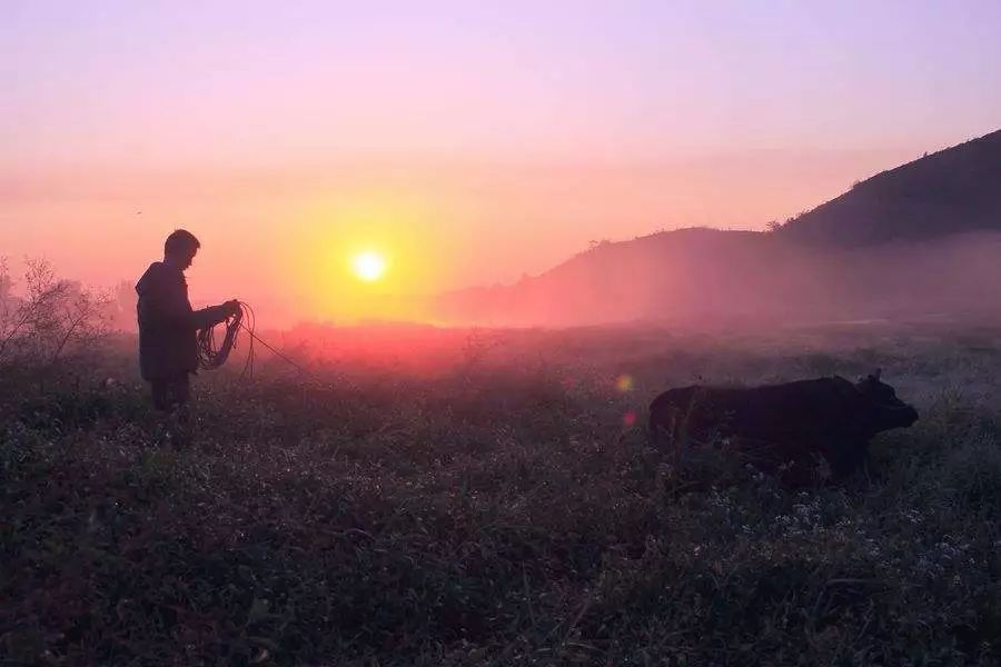 沅陵乡村放牛娃,放牛娃道县