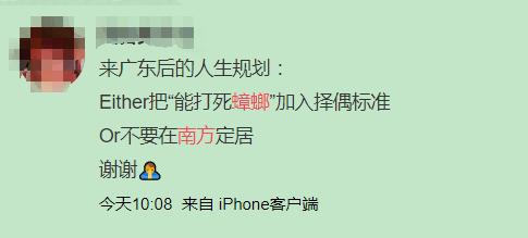 南方蟑螂和北方蟑螂对比恶搞,南方大蟑螂吓哭北方人