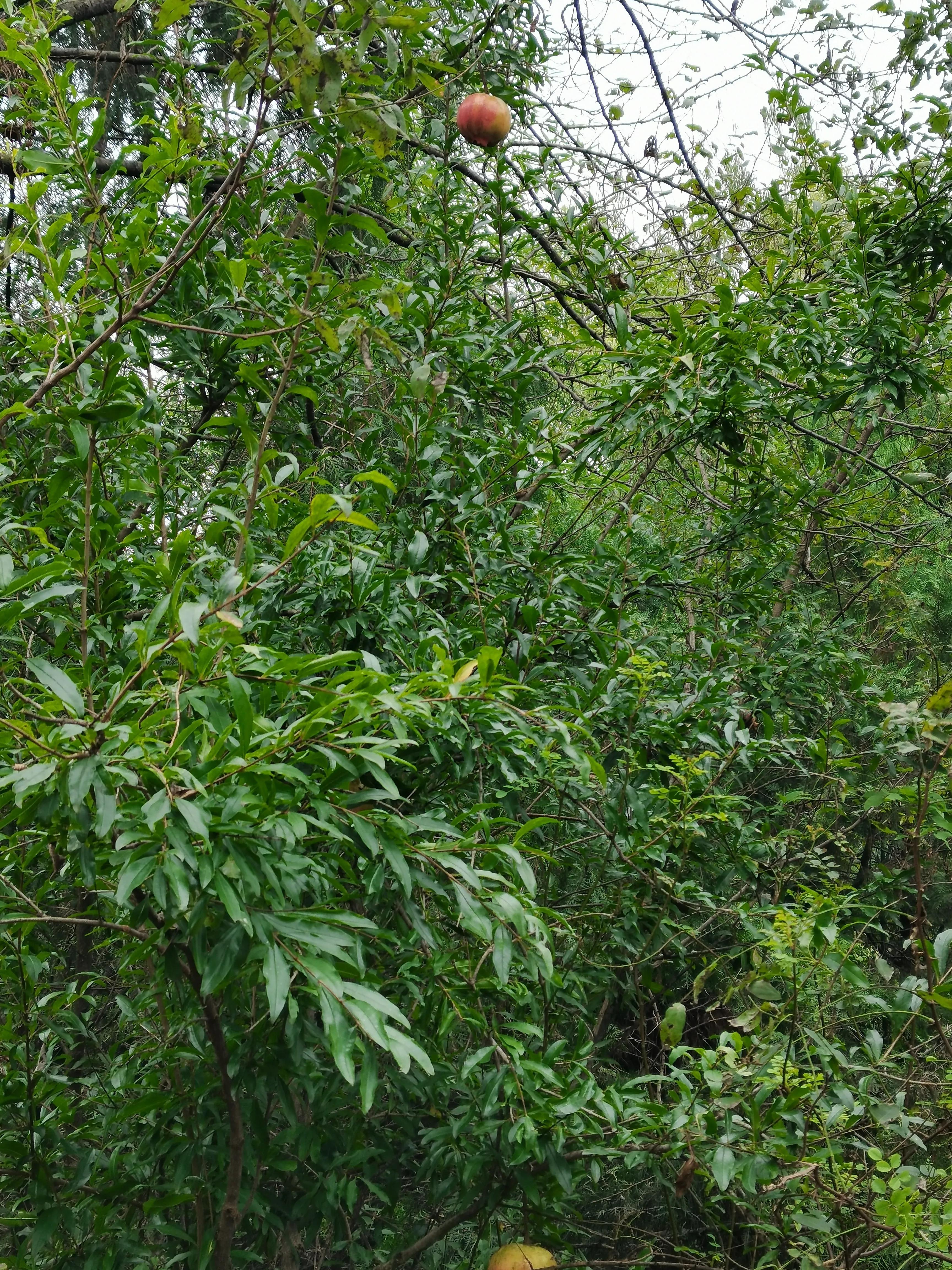 西安洪庆山自驾游路线图,西安洪庆附近旅游景点