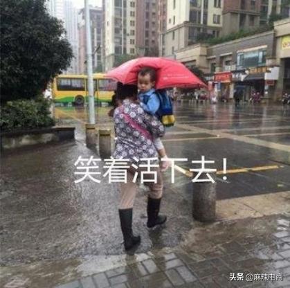 天猫上每多售出一台烘干机，就会减少500人搜索*裤内**