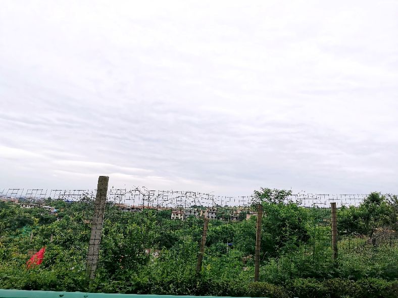 西安洪庆焚书坑儒,洪庆山焚书坑儒