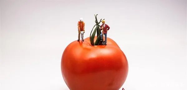 教育培训机构招生营销策划,培训机构招生营销方案排行榜