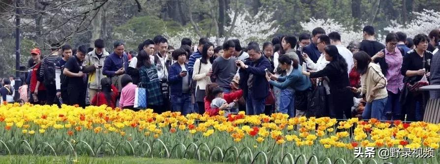 春天来了，这个四月请开启小情侣打卡模式，单身狗们千万不要点