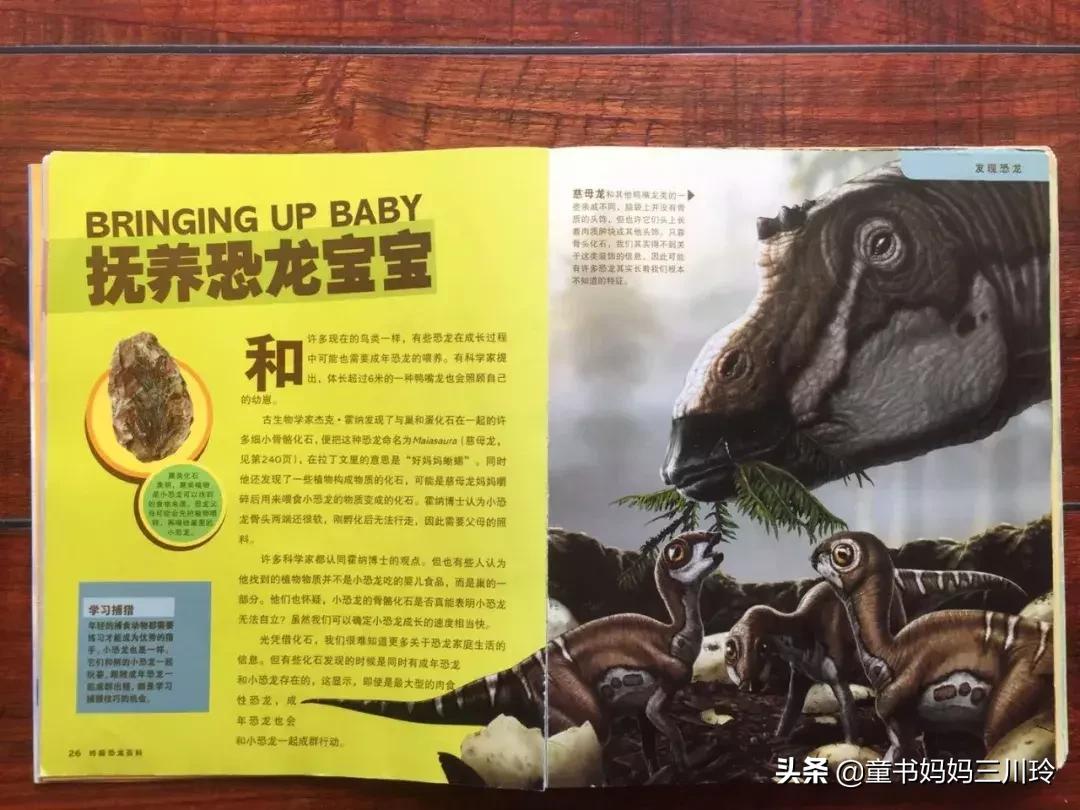 终极恐龙百科书籍,恐龙百科书推荐