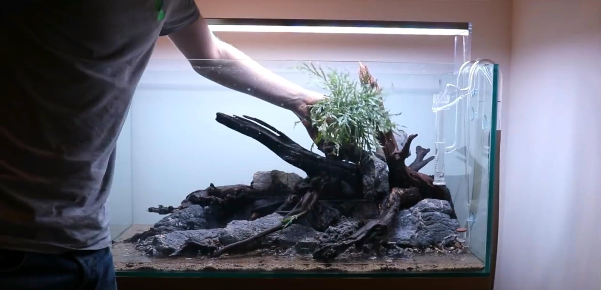 沉木草缸入门造景,50厘米草缸入门造景