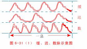把脉七字口诀完整版,把脉入门口诀视频