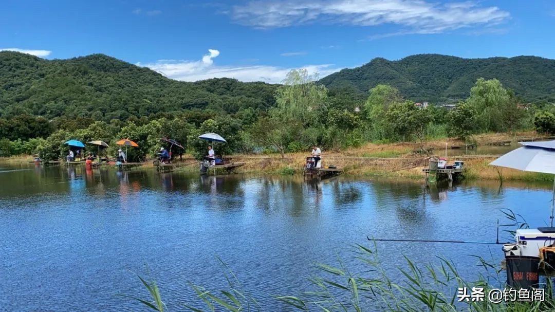 钓鱼圈也存在鄙视链？野钓黑坑吵得最凶，路亚在角落瑟瑟发抖
