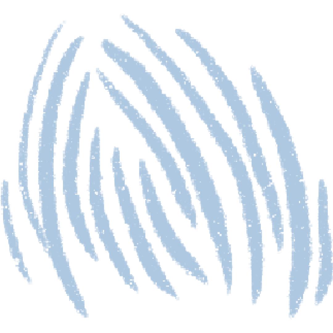 晚会视频回顾,晚会节目实录