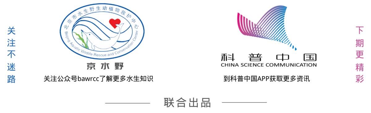 鱼类繁殖洄游,鱼类繁殖原理