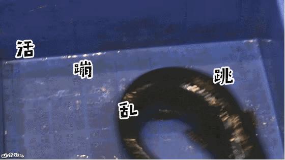 香Skr人!这家店排了两个小时?饭饭送你免排队黑卡内含¥?68