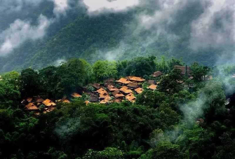 它们冷门，可却是如此幽静美丽