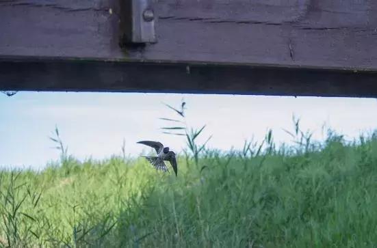 中考真题：谷雨时节“播种”忙，洒下汗水种“希望”