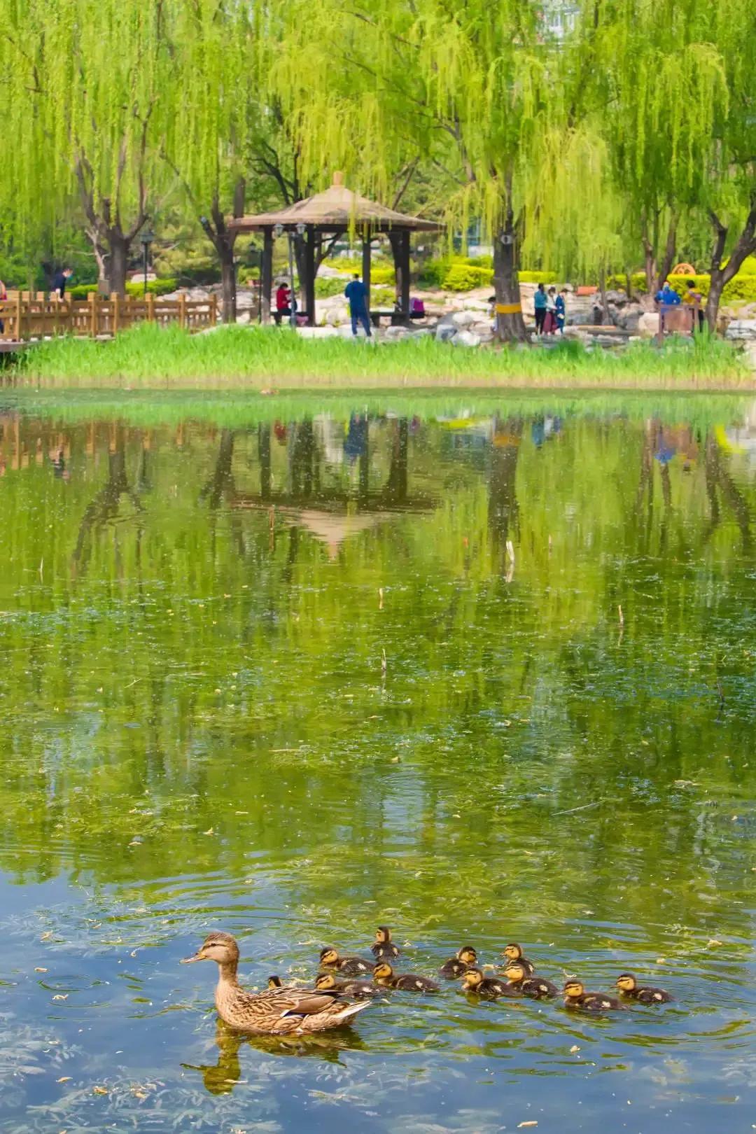 四月发生的事,东城发生的事