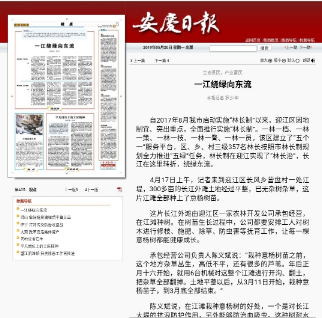 安庆日报望江周刊,安庆日报太湖周刊