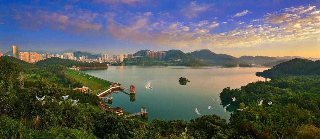 深圳塔739米高度,高度为739米的深圳塔