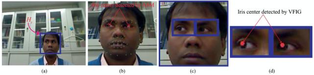 注意力测试数据分析,注意力测试数据