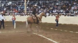 搞笑gif趣图妹子你别闹了,搞笑gif趣图妹子你这笑容太魔性了