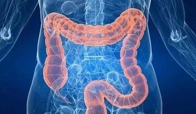 荷叶茶的四季搭配及功效,荷叶茶能清热去火吗