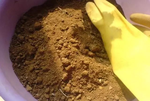 养花种植技术大全及配土,家庭养花如何使用绿沸石配土