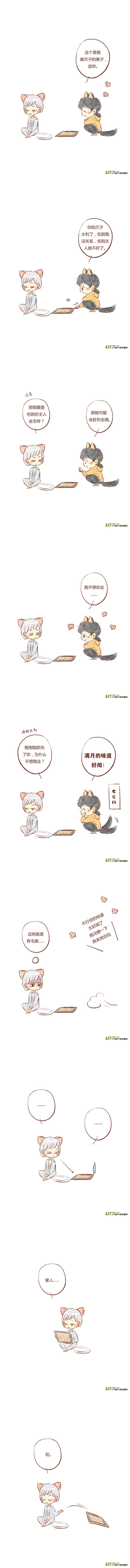 一只可爱流浪猫会怎么样,一只流浪猫把一只宠物猫给拐走了