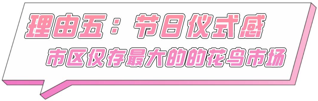 上海的热搜,最近热搜的上海