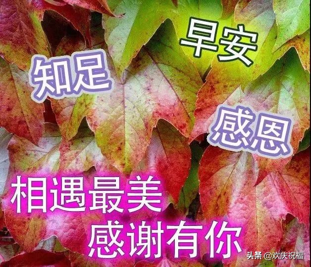 最新早上好问候祝福语带字的图片,周三早上好问候祝福语最新版