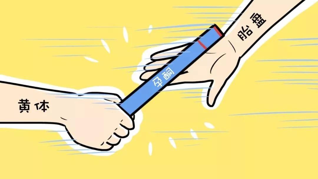 备孕没怀上是什么原因,影响备孕的9大因素