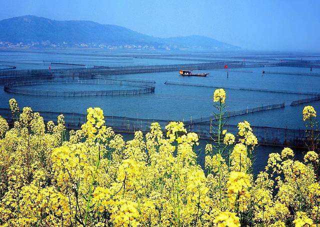 苏州市吴中区旅游景区有哪些,苏州市吴江区七都镇旅游景区