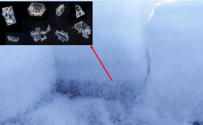 512防灾减灾的知识,512防震减灾日小知识