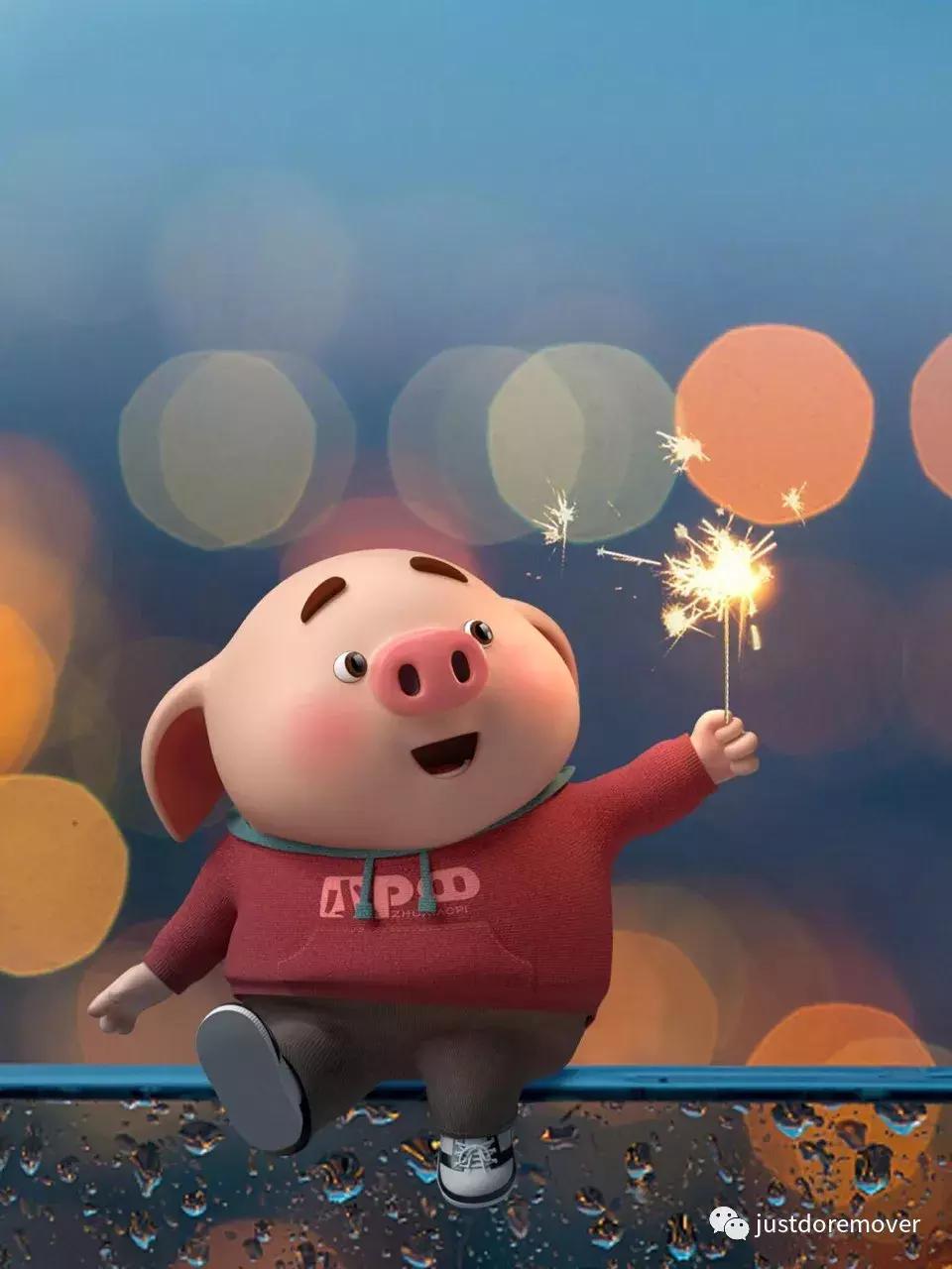2019年我是最旺最红的猪！gruntgruntgrunt