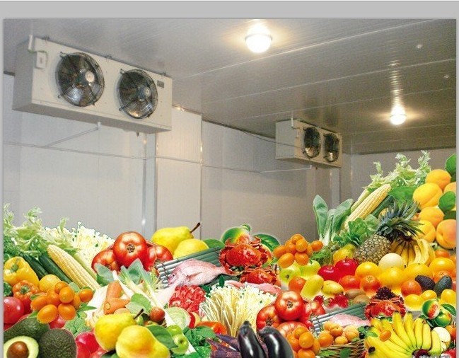 冷库制冷系统安装教程视频,冷库氨气制冷设备原理