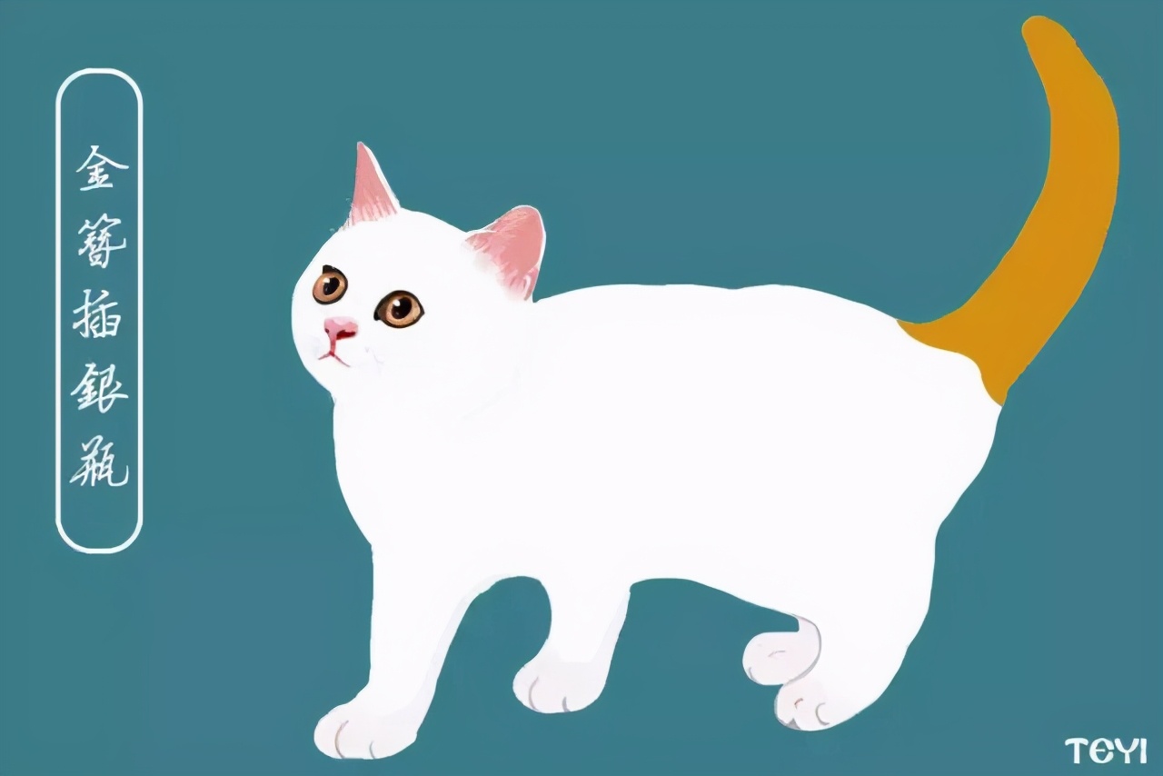 中华田园猫的品种介绍和图片大全,常见中华田园猫品种名称