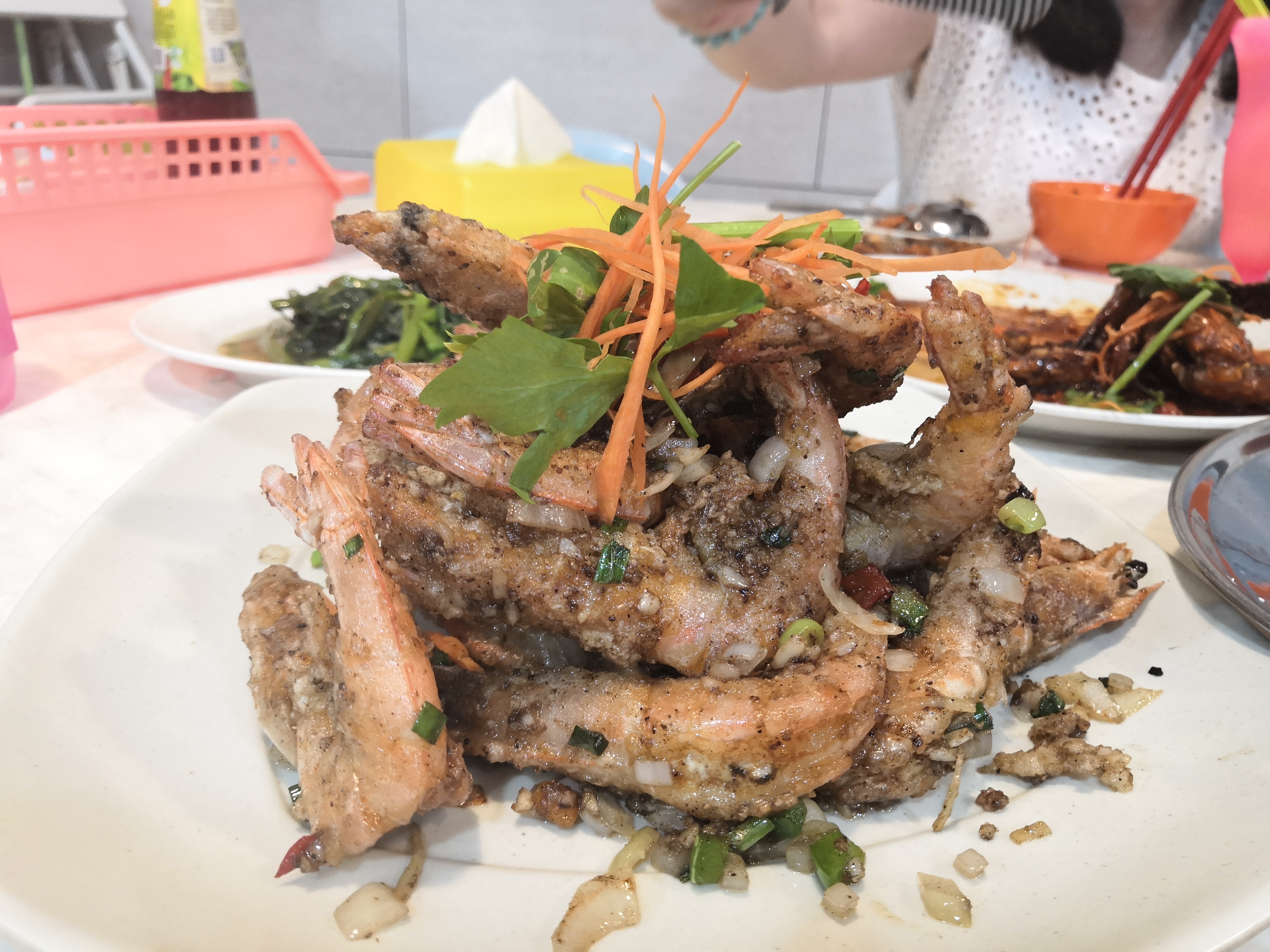 2018马来西亚之旅留影,2019回眸