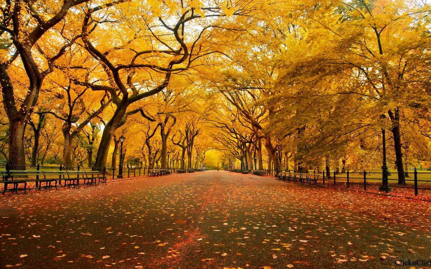 秋季银屑病患处又双叒叕变得更干燥了？几招让你远离困扰