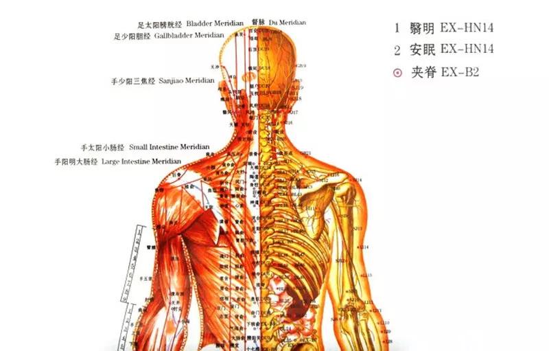 涓尰娉版枟鍥藉尰澶у笀寮犵,娌冲崡寮犵涓尰鍥藉尰澶у笀