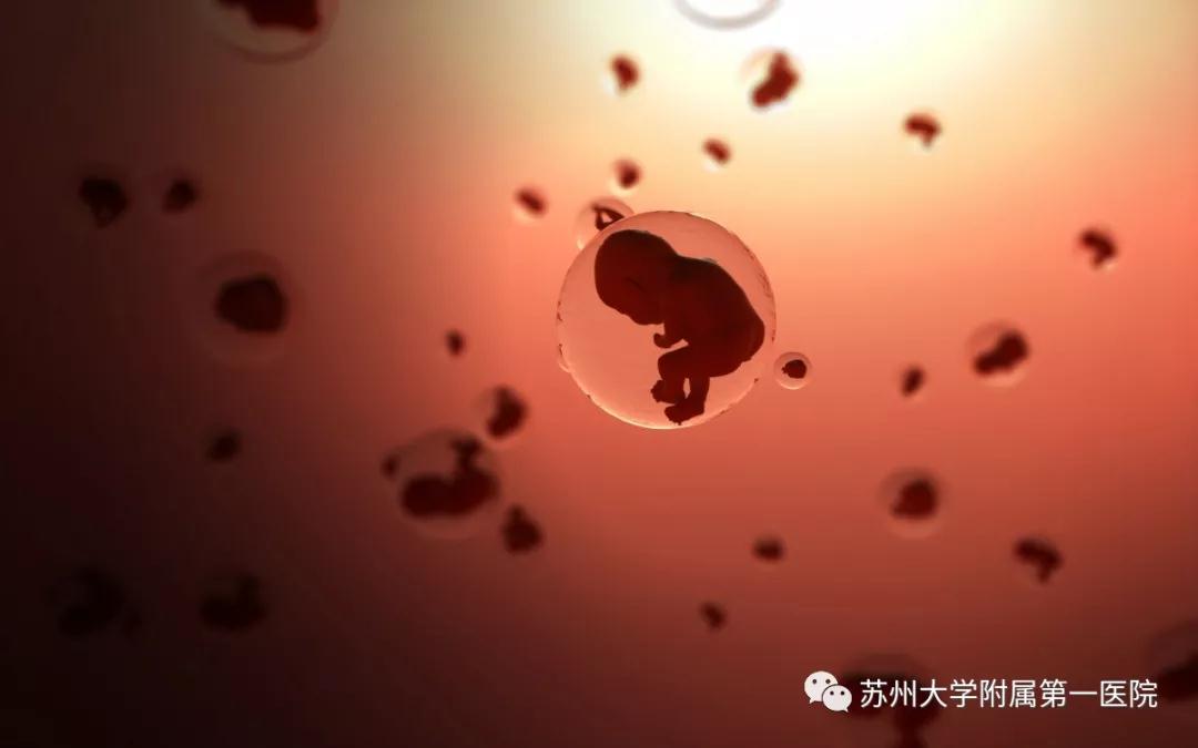 收藏！孕期要做几次B超？请看这份最全孕期B超检查攻略